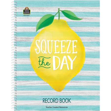 Teacher Created Resources Lemon Zest Record Book, PK3 TCR8272